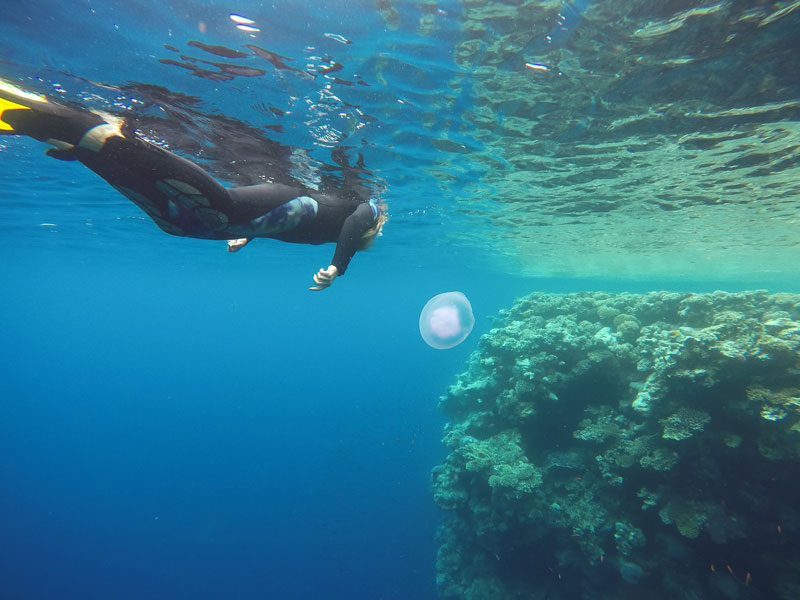 dangers environnementaux et les conditions de plongee