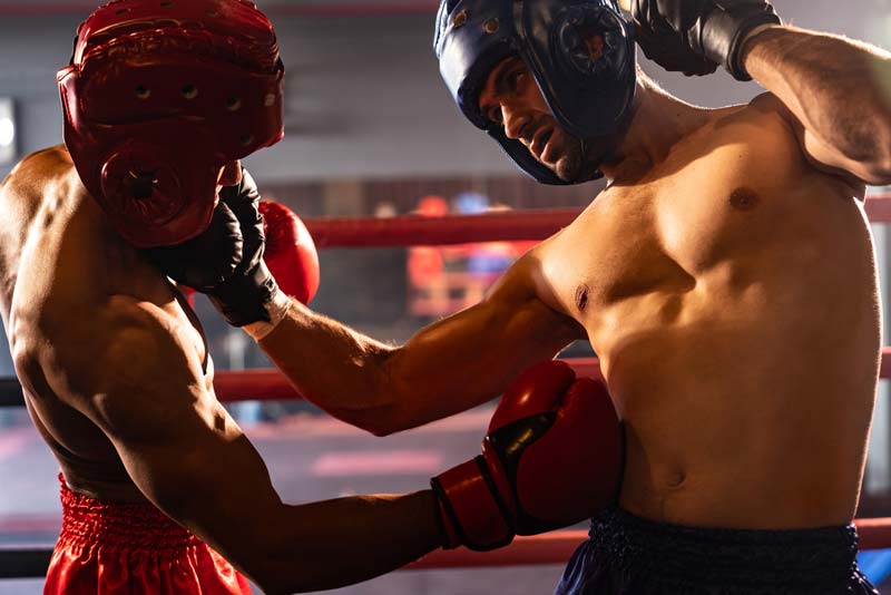 boxe anglaise le noble art des poings