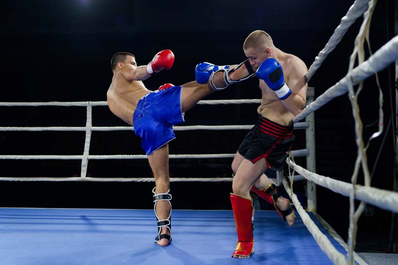 boxe francaise savate elegance des pieds et poings