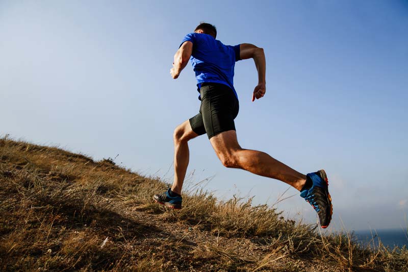 influence du terrain et des conditions