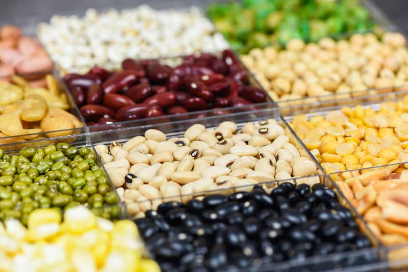 legumineuses champions des proteines vegetales