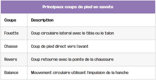 principaux coups de pied en savate