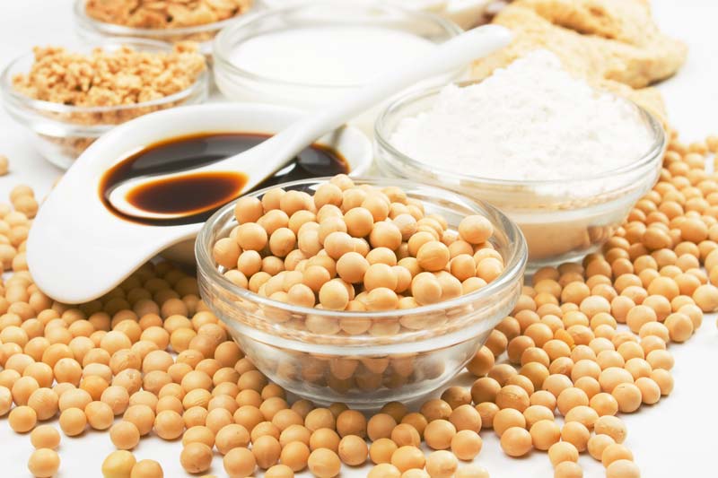soja et derives les proteines vegetales polyvalentes