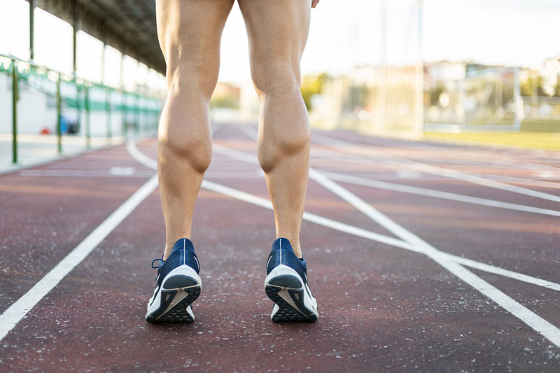 anatomie et importance des mollets dans la performance sportive