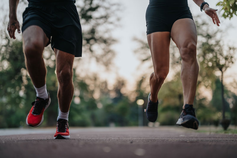 anatomie importance mollets performance sportive