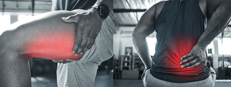 localisation frequente des dechirures musculaires