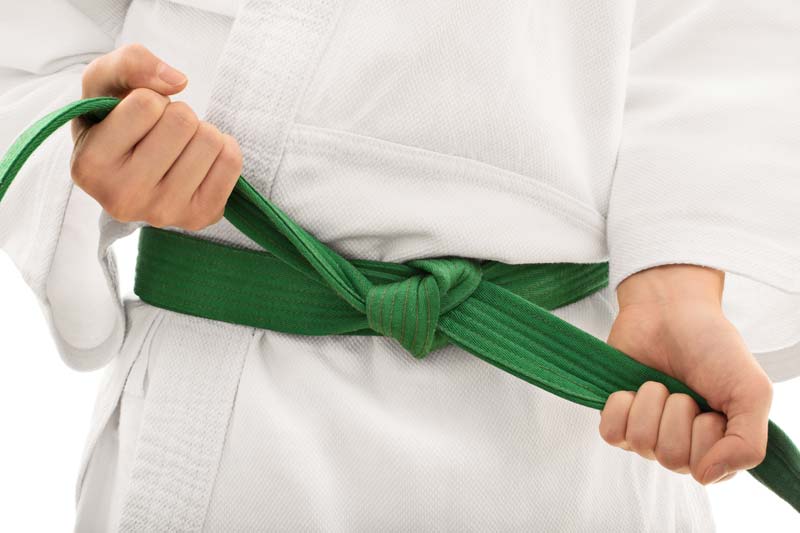 ceinture verte entree dans la phase intermediaire
