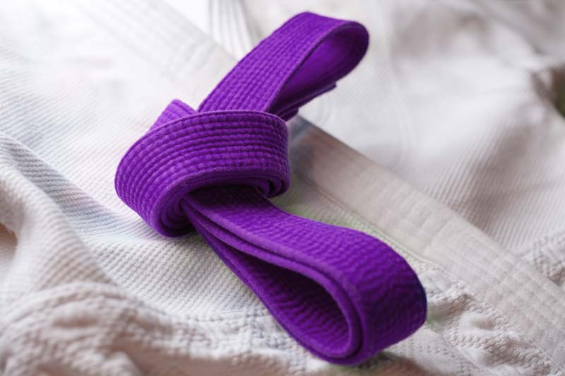 ceinture violette developpement des applications techniques