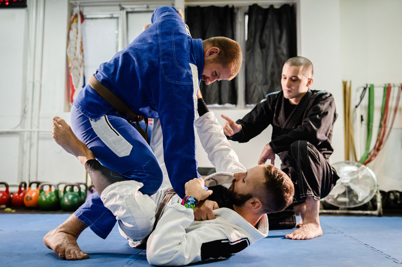 ordre ceintures jiu jitsu bresilien ceinture marron