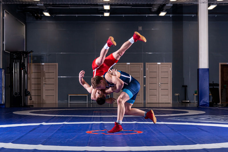 techniques et methodologie du sambo