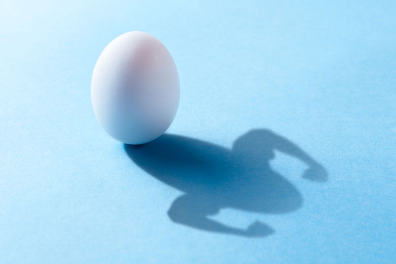 le mythe du cholesterol ce que la science dit vraiment aujourdhui
