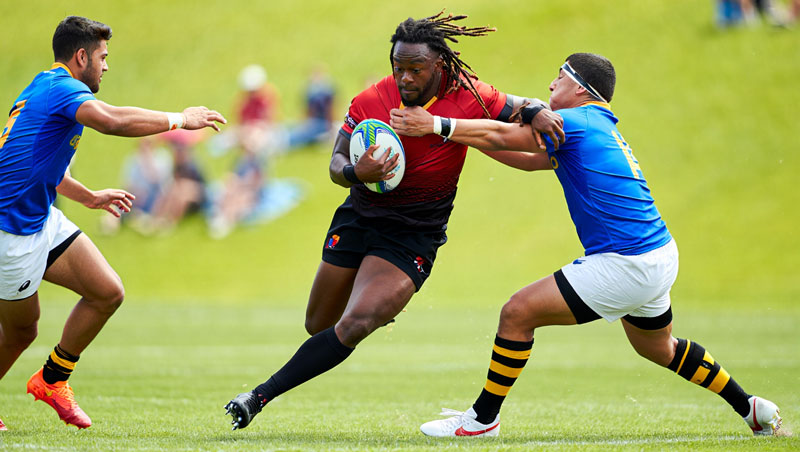 collection vs supporter le grand ecart des prix