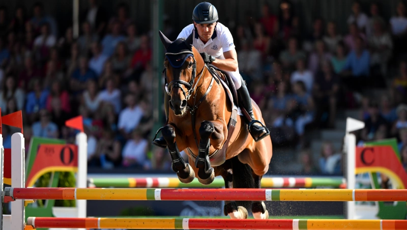 justin verboomen equitation haut niveau