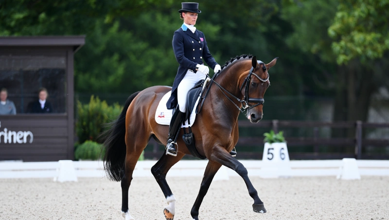 justin verboomen equitation nivelles
