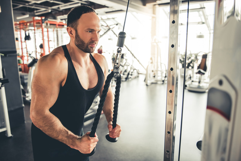 les elevations laterales pour gagner en largeur