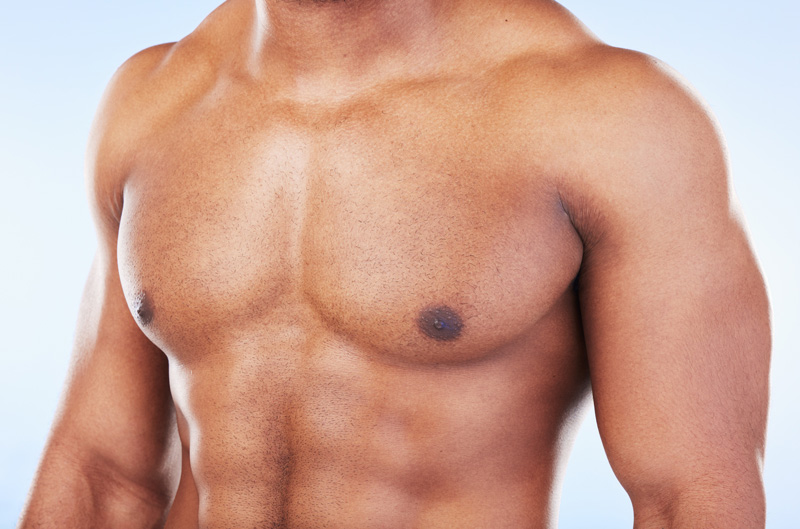 anatomie des pectoraux et benefices buste puissant