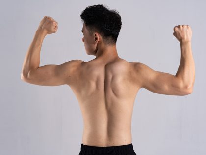 Morphotype ectomorphe : alimentation et programme musculation pour prendre du muscle