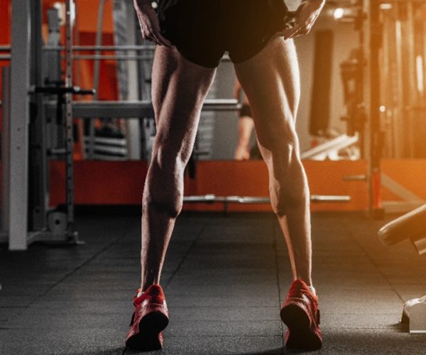Exercice jambe musculation : les meilleurs mouvements pour des jambes puissantes