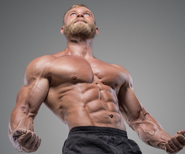 Musculation pectoraux : les meilleurs exercices pour prendre du volume