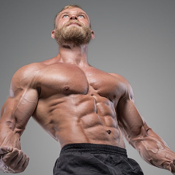 Musculation pectoraux : les meilleurs exercices pour prendre du volume